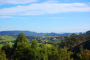Local landscape